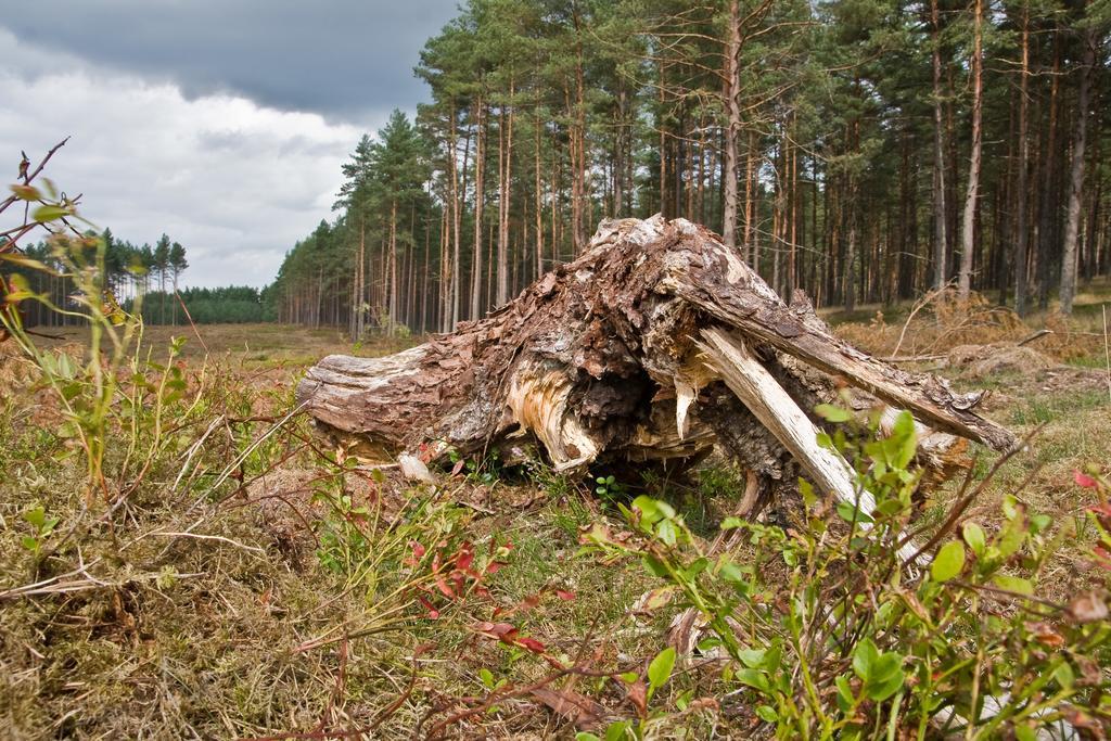 Agroturystyka Sominy Piotr Buitenkant foto