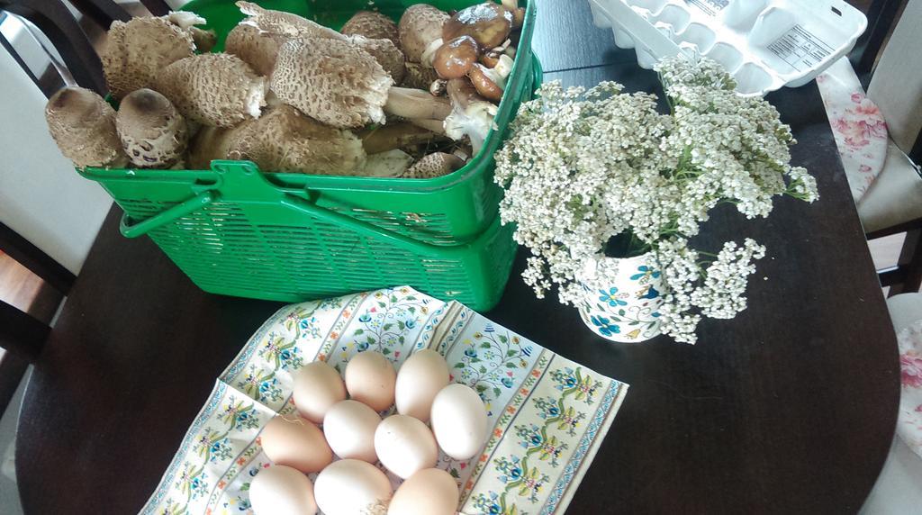 Agroturystyka Sominy Piotr Buitenkant foto